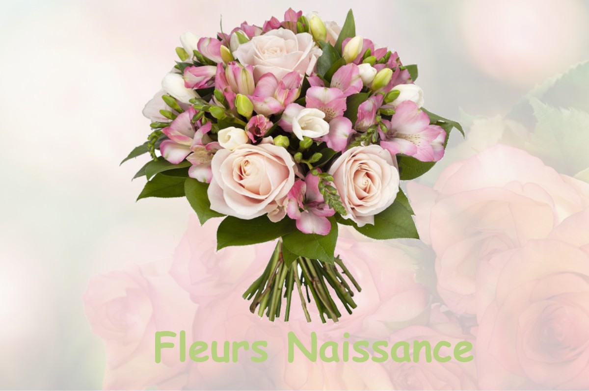 fleurs naissance VILLENAVE-PRES-MARSAC